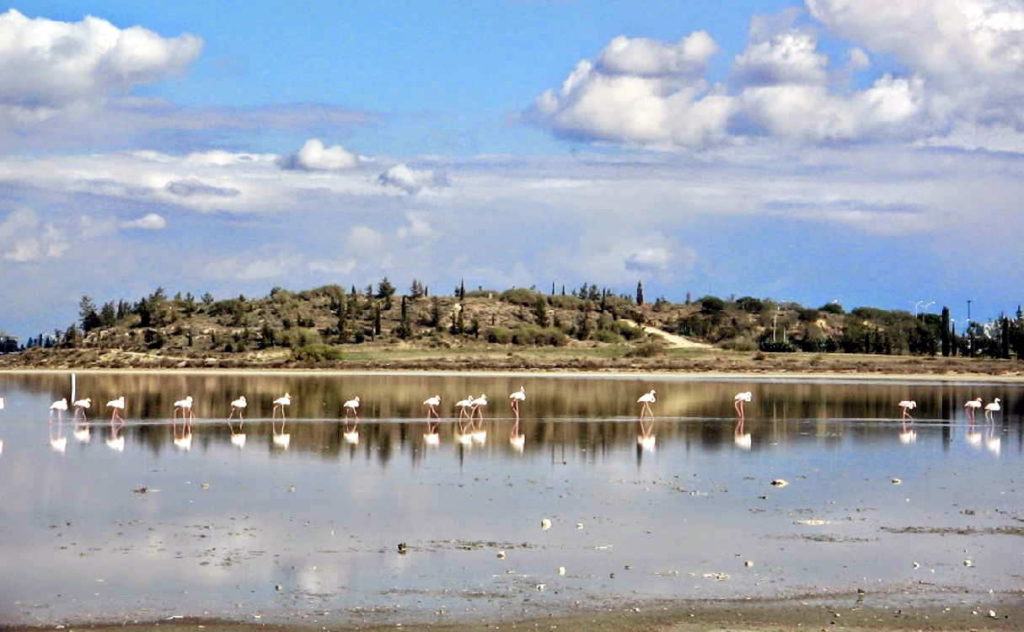 Соленое озеро Лимассола , рядом Пляж Лейдиз Майлз Бич, Кипр