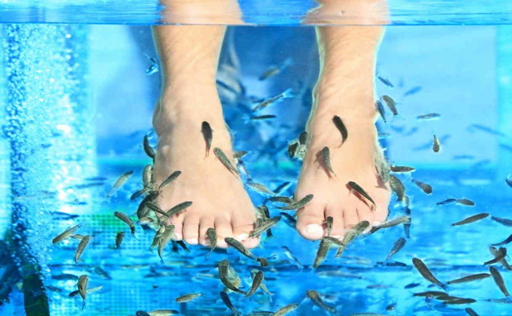 Массаж ног с рыбками в салоне Garra Fish Spa, Аквапар Фасури, Лимассол