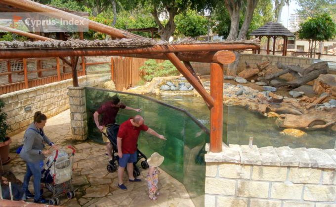Двухуровневый вольер с выдрами, Зоопарк в Лимассоле, Кипр