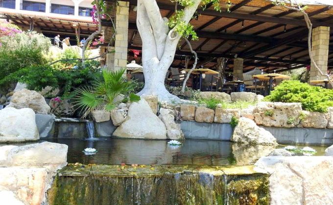 Декоративный фонтан на территории отеля - Парковая зона , Закат на главном бассейне отеля, Coral Beach Hotel - Отель Корал Бич, Кипр, Пафос