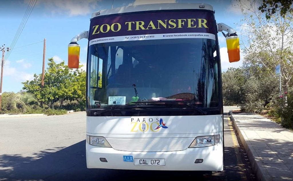 Автобус для трансфера в зоопарк, Зоопарк в Пафосе, Кипр