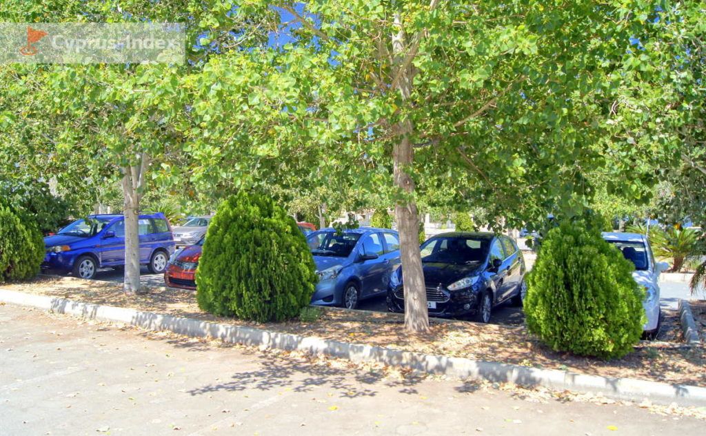 Парковка перед зоопарком, Зоопарк в Пафосе, Кипр