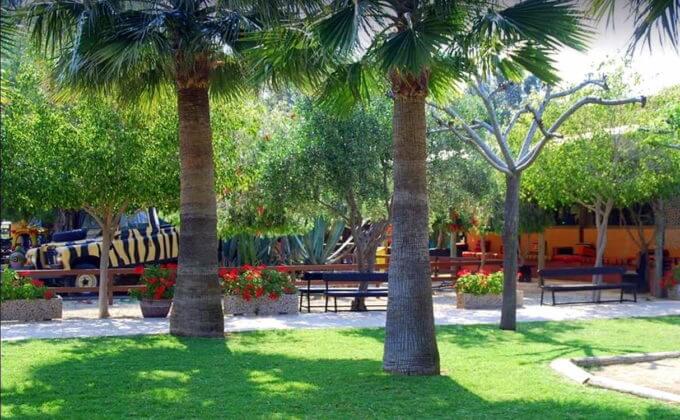 Растительность парка, Парк верблюдов (Camel Park) Ларнака. Кипр